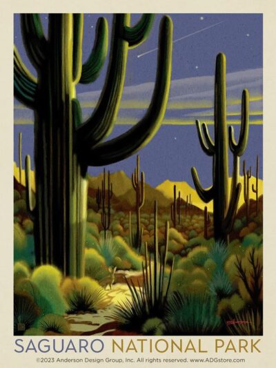 Saguaro